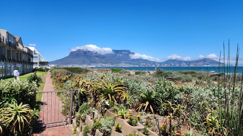 To Let 2 Bedroom Property for Rent in Lagoon Beach Western Cape